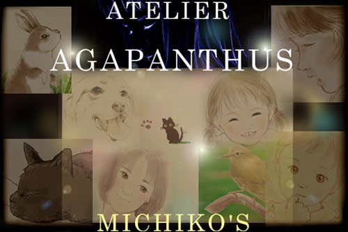 Agapanthus michiko
